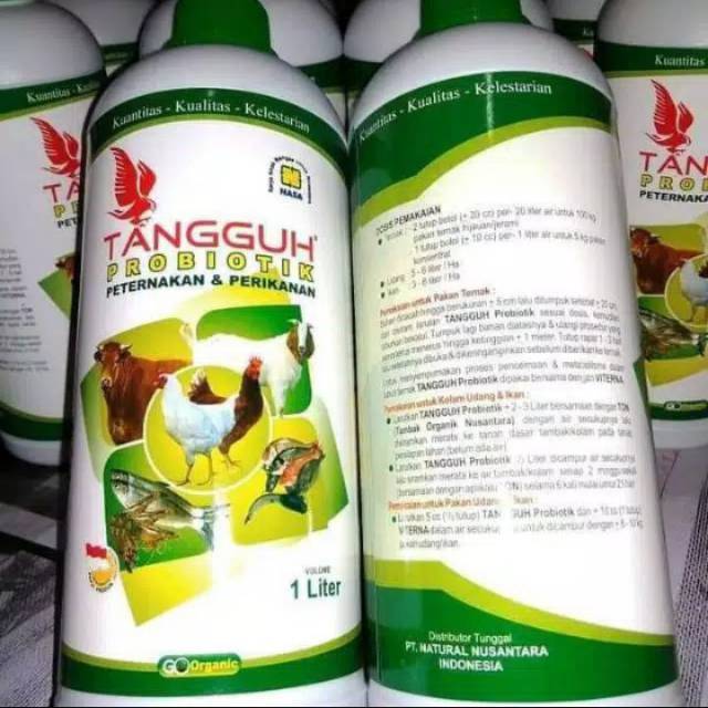 

ORIGINAL , NASA TANGGUH PREBIOTIK MEMBUAT PERMENTASI PAKAN TERNAK