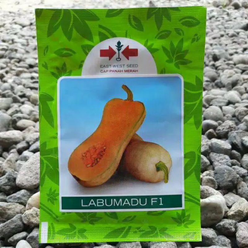 benih labu LABU MADU F1 (100btr) Cap Panah Merah