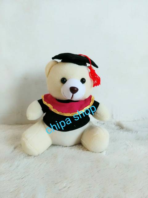 BEAR WISUDA 20 CM