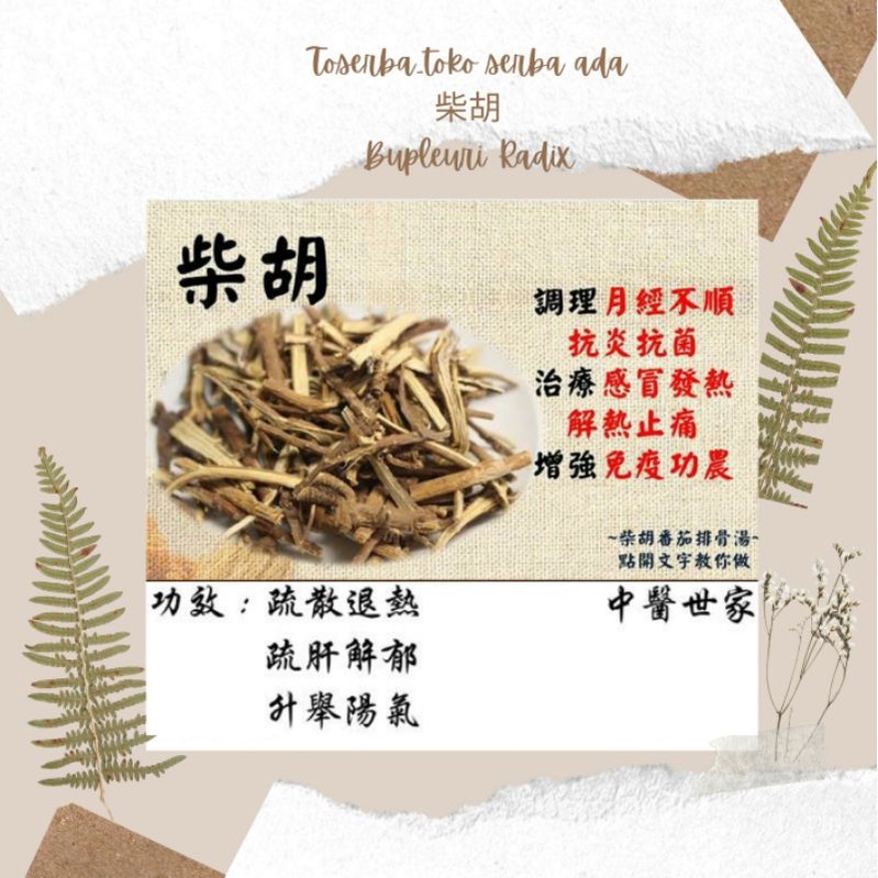 

100gr Herbal Chai Hu 柴胡 / Bupleuri Radix / Chinese Thorowax Root / Bupleurum / Root Of Chnese Thorowax / Root Of Red Thorowax / Red Thorowax Root Premium Grade