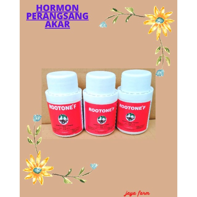 ROOTONE F 50GR - OBAT PERANGSANG AKAR TANAMAN
