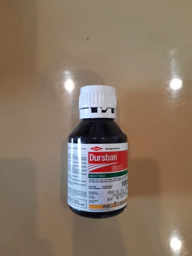 Insektisida Dursban 200 Ec 100 Ml
