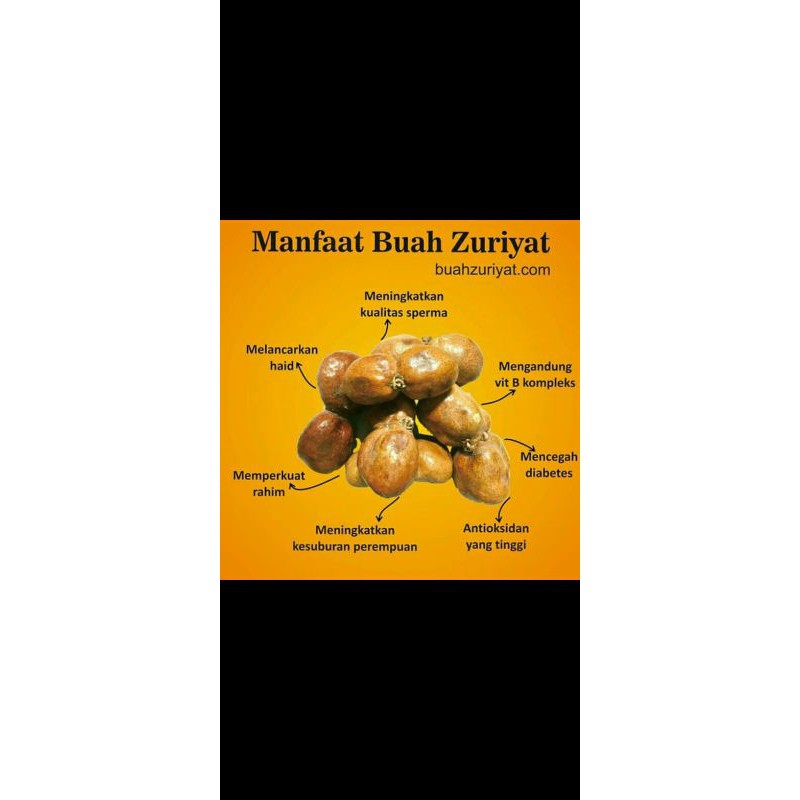 

Buah Zuriyat Madinah