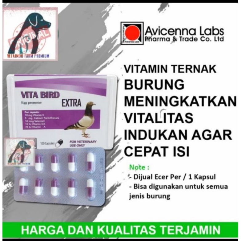 VITA BIRD EXTRA AVICENNA LABS VITAMIN TERNAK BURUNG MERPATI MACET