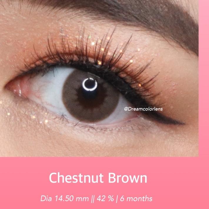 HOT SALE DREAMCOLORLENS Softlens - Chestnut Brown Penawaran Terbaik