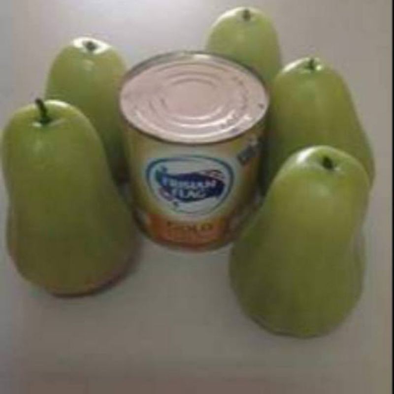 bibit jambu air super green