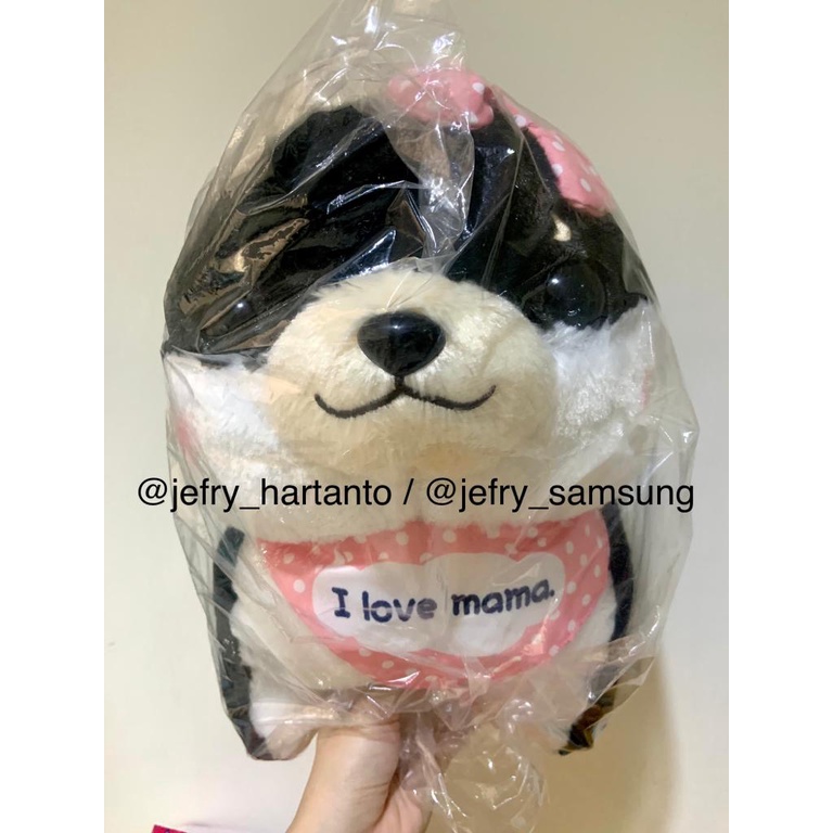 Toreba Boneka Import Anjing Muchimu Chihuahua Besar Jumbo Very Big Plush Original Amuse Amufun Jepan