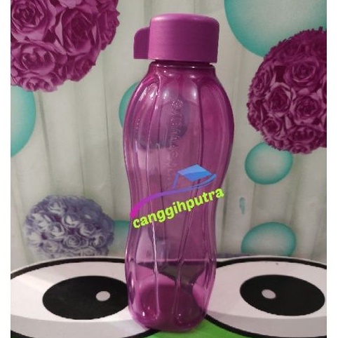 Botol minum tutup ulir 750 ungu tupperware