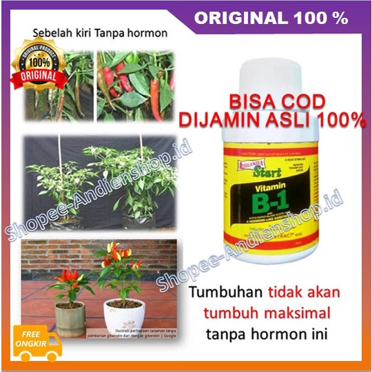 BELI 1 GRATIS 1 Hormonik Grow Plant Pemulihan Pohon Lemah Merangsang Pertumbuhan Akar 100% ASLI