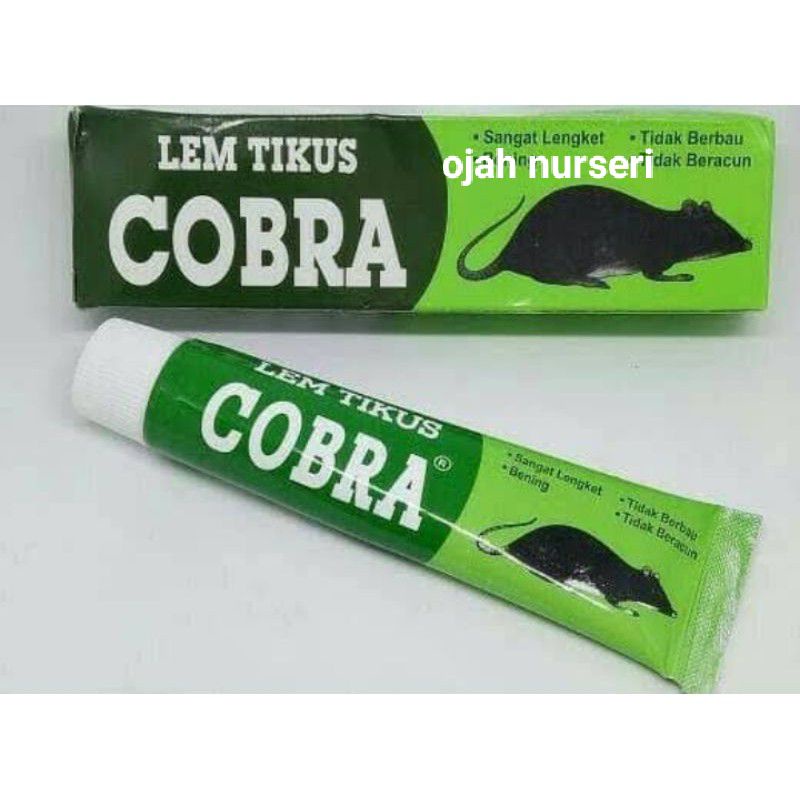 

LEM TIKUS SUPER LENGKET LEM PERANGKAP TIKUS