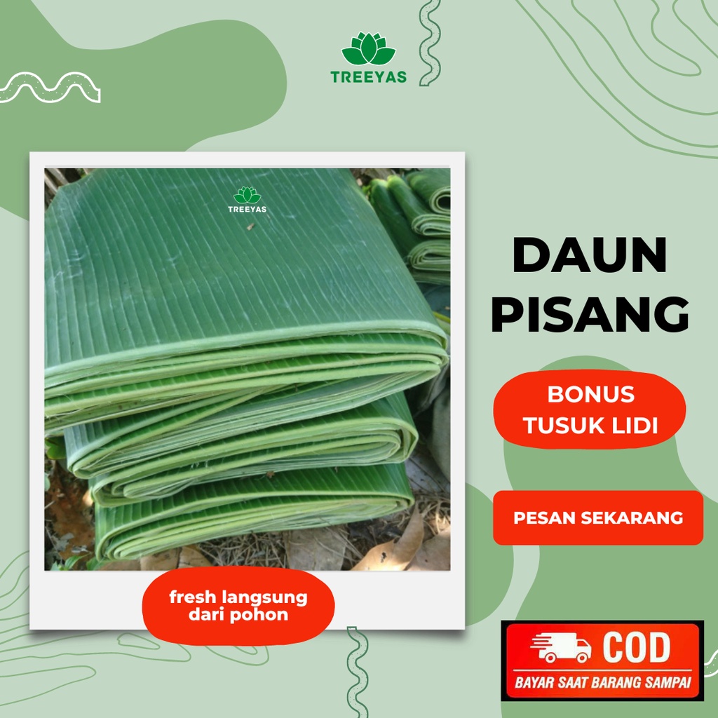 

Best seller daun pisang kepok - 1 ikat 250gram bonus tusuk lidi