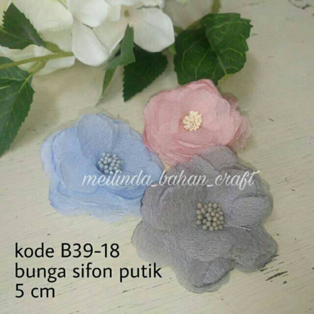 

Lode b39-18. Bunga sifon putik