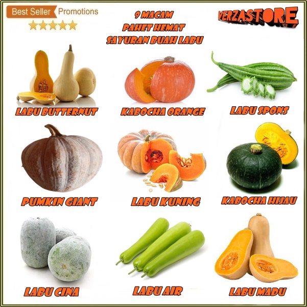 biji benih Paket Hemat 10 Macam Benih Sayuran buah labu kabocha labu butternut labu madu labu cina l