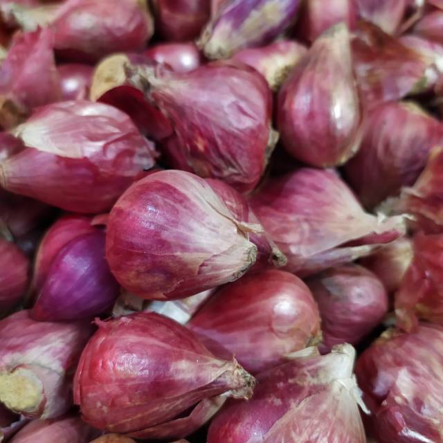 

Bawang Merah 250 gr