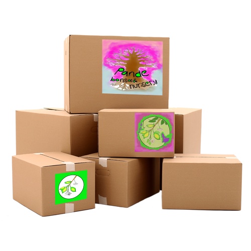 

Packing Tambahan Untuk Tanaman