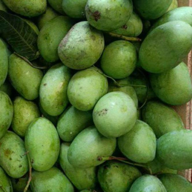 

[ORIGINAL]mangga Arum manis 1kg muda