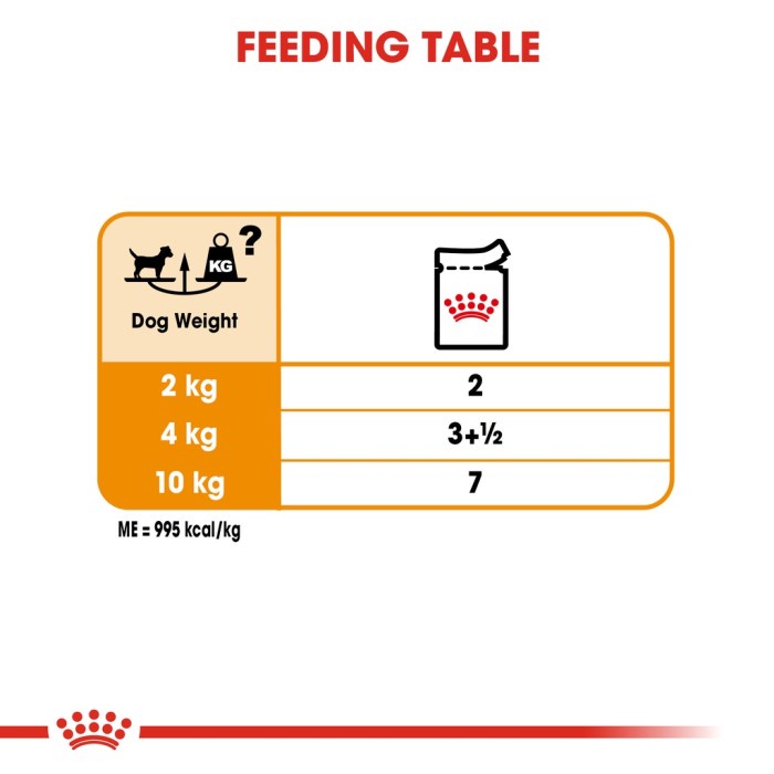 Royal Canin Coat Care 85gr Makanan Basah Anjing Wet Dog Food