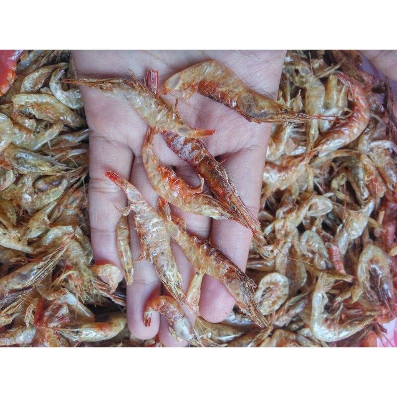 

Udang Kering Jumbo/Ebi/Rebon Daging 100g