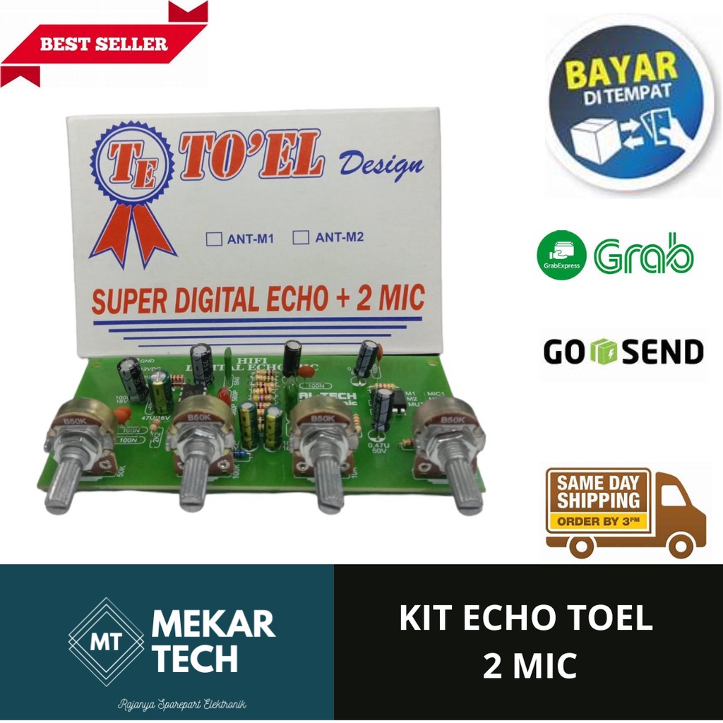KIT ECHO TOEL 2 MIC