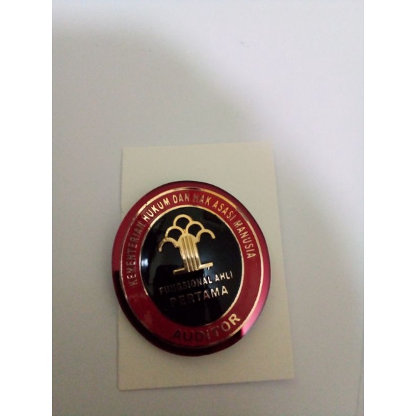 Pin JFT Auditor