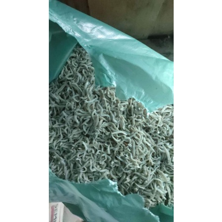 

Teri nasi atau Teri nilon