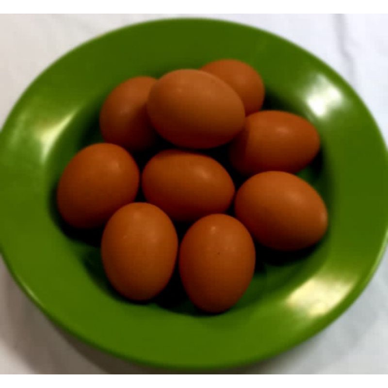

telor ayam