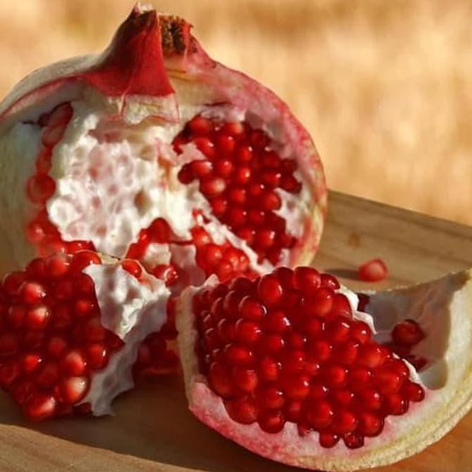 Bibit Okulasi Bibit Pohon Delima Merah Buah Delima Tanaman Delima Red Pomegranate R O A4r Shopee Indonesia