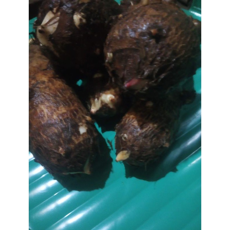 

umbi talas atau taleus pulen 1000gr