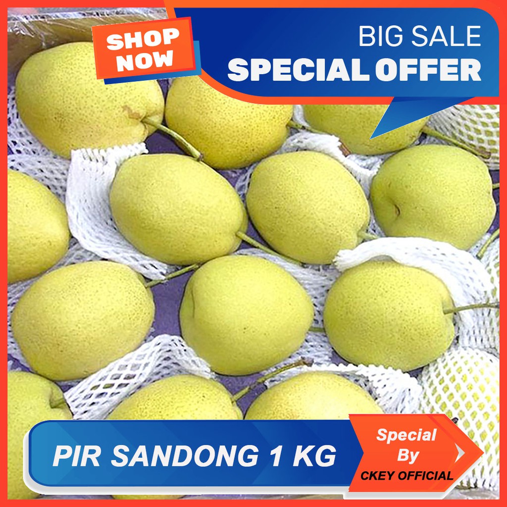 

Buah Impor Apel Pir Pear Premium Xianglie Manis CKEY OFFICIAL Buah Segar Sayuran Segar Bawang Merah