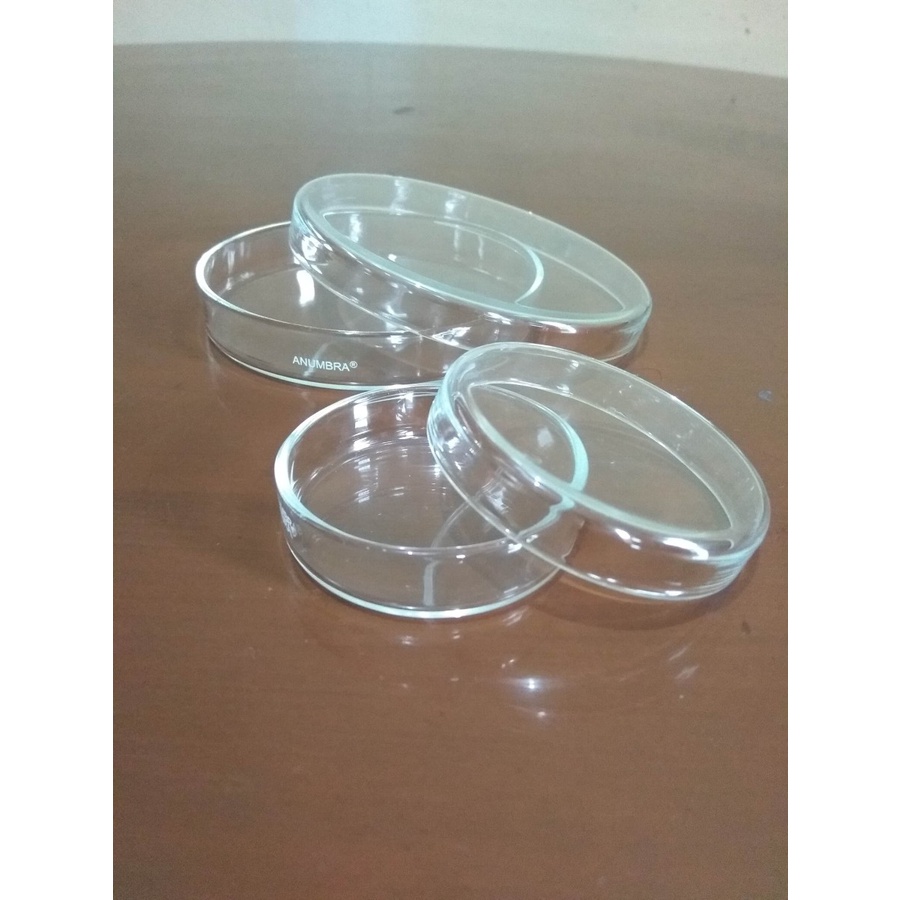 Petridish Cawan Petri Anumbra 100 mm