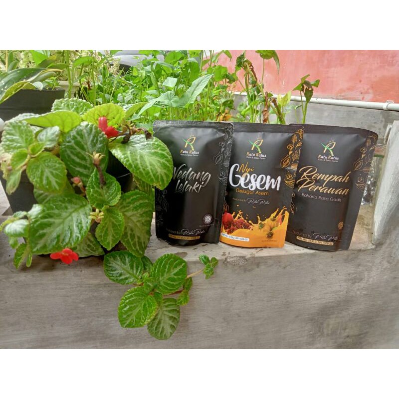 Ratu Ratus Paket Reseller (Remper/Welak/Nyi Gesem)