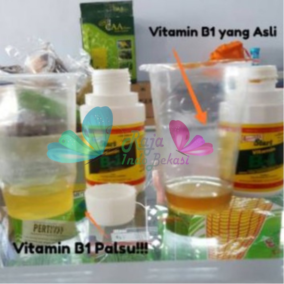 Ori B1 Liquinox 100 Ml Penumbuh Akar Obat Anti Stres Vitamin Nutrisi B1 Tanaman Bibit Stek Cangkok