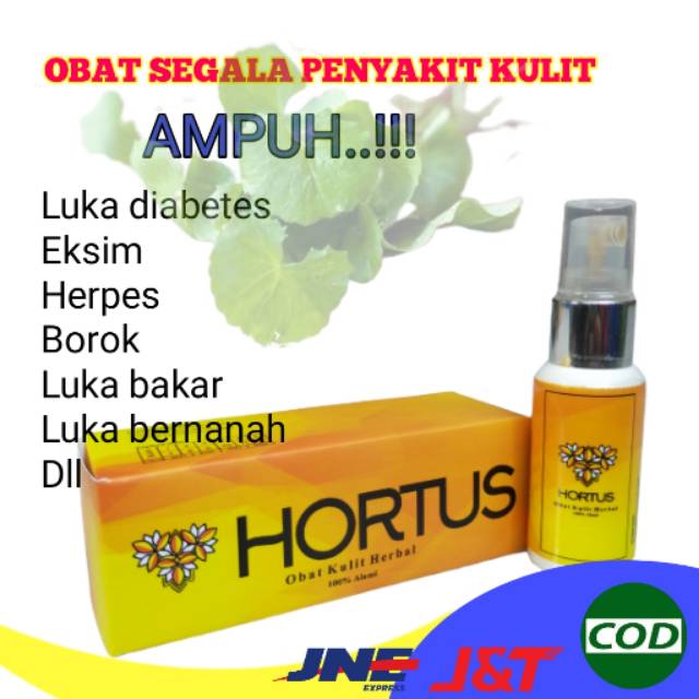 HORTUS OBAT SEGALA PENYAKIT KULIT Luka diabetes herpes cacar eksim exim luka bakar jerawat parah 03