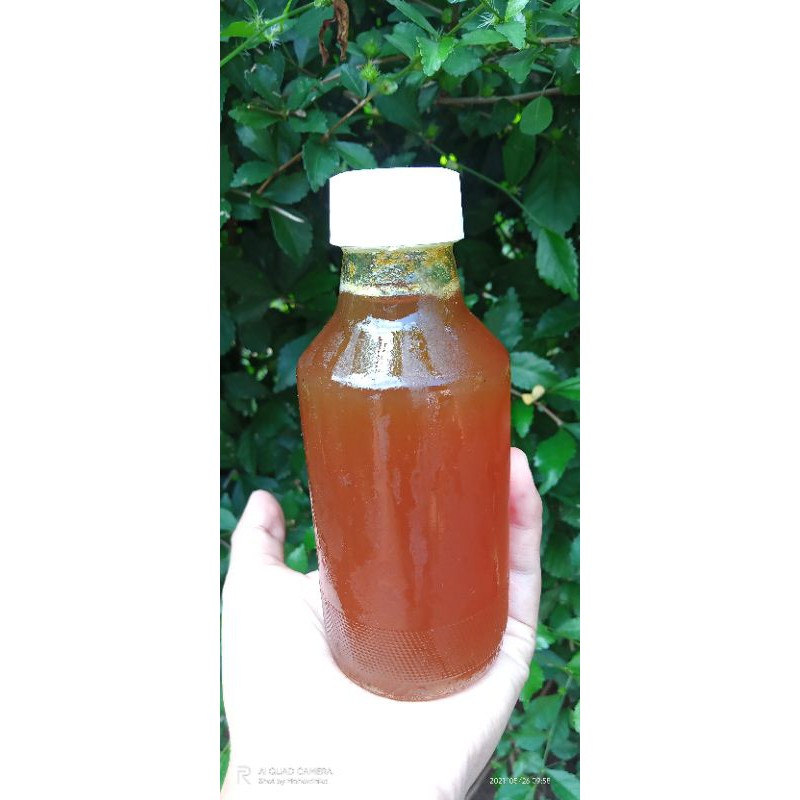 

Madu Klanceng 100 ml