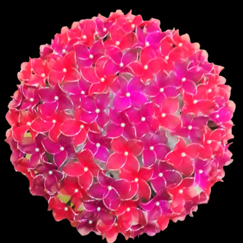 Bunga stoking dinding bulat