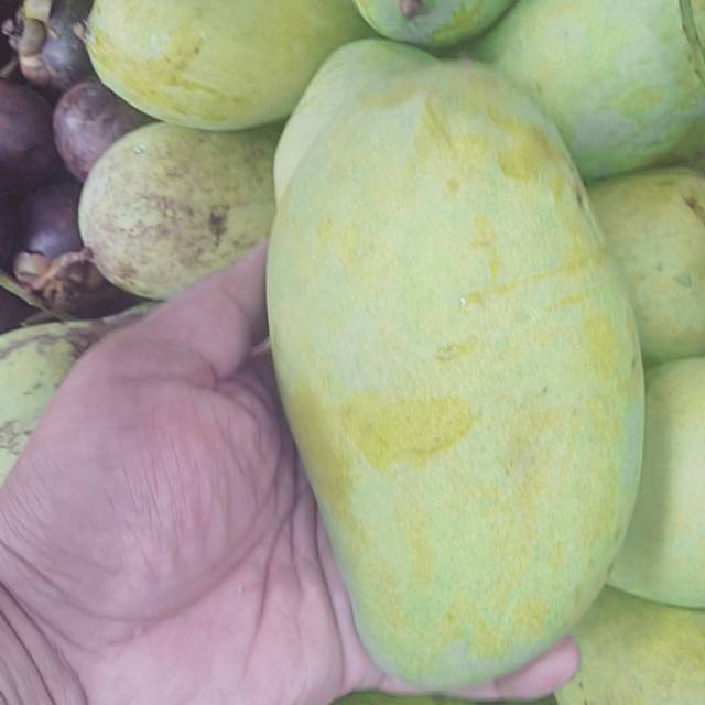 

MANGGA BUDIRAJA/1kg