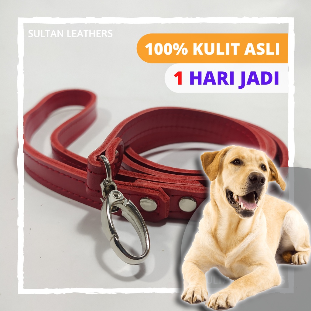 Tali Tuntun Anjing Double Kulit Kulit Asli / Tali Leher Anjing Besar dan Kecil Bonus Cantolan Tali