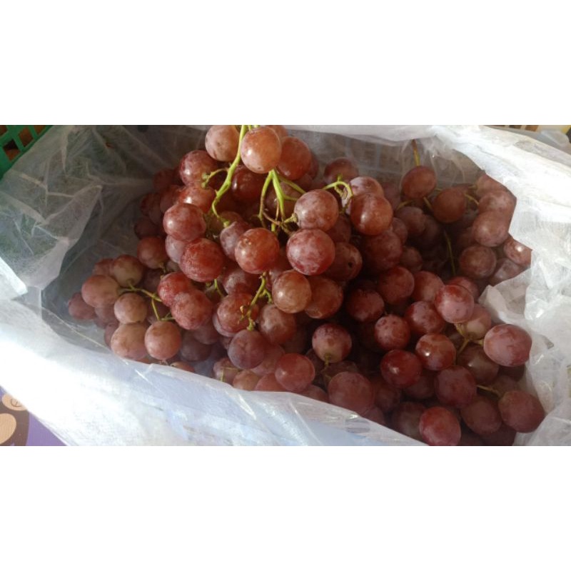 

anggur red supper manis 1 krt