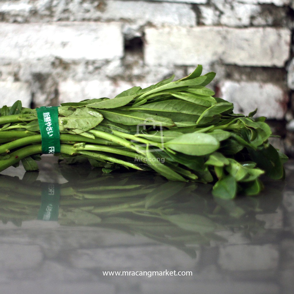 DAUN GINSENG - BERAT 200gram