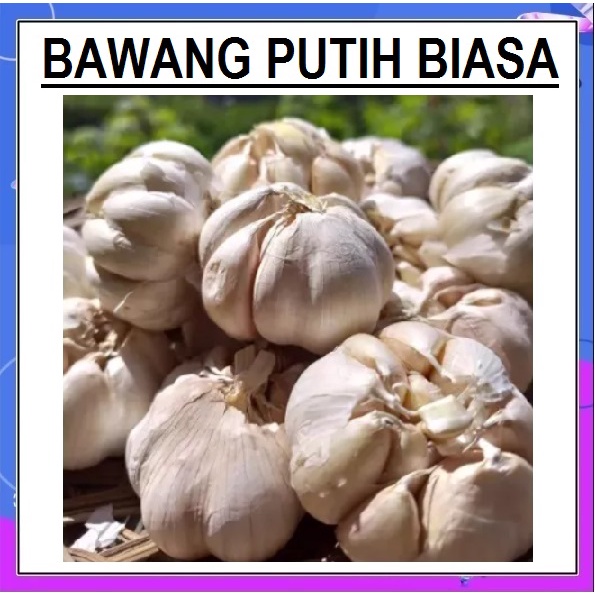 BAWANG PUTIH SUPER 1 KG MURAH BIASA SEGAR TANPA KUPAS KILOAN