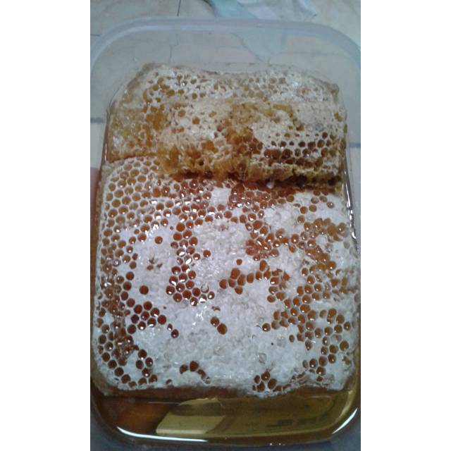 

Madu Sarang Asli