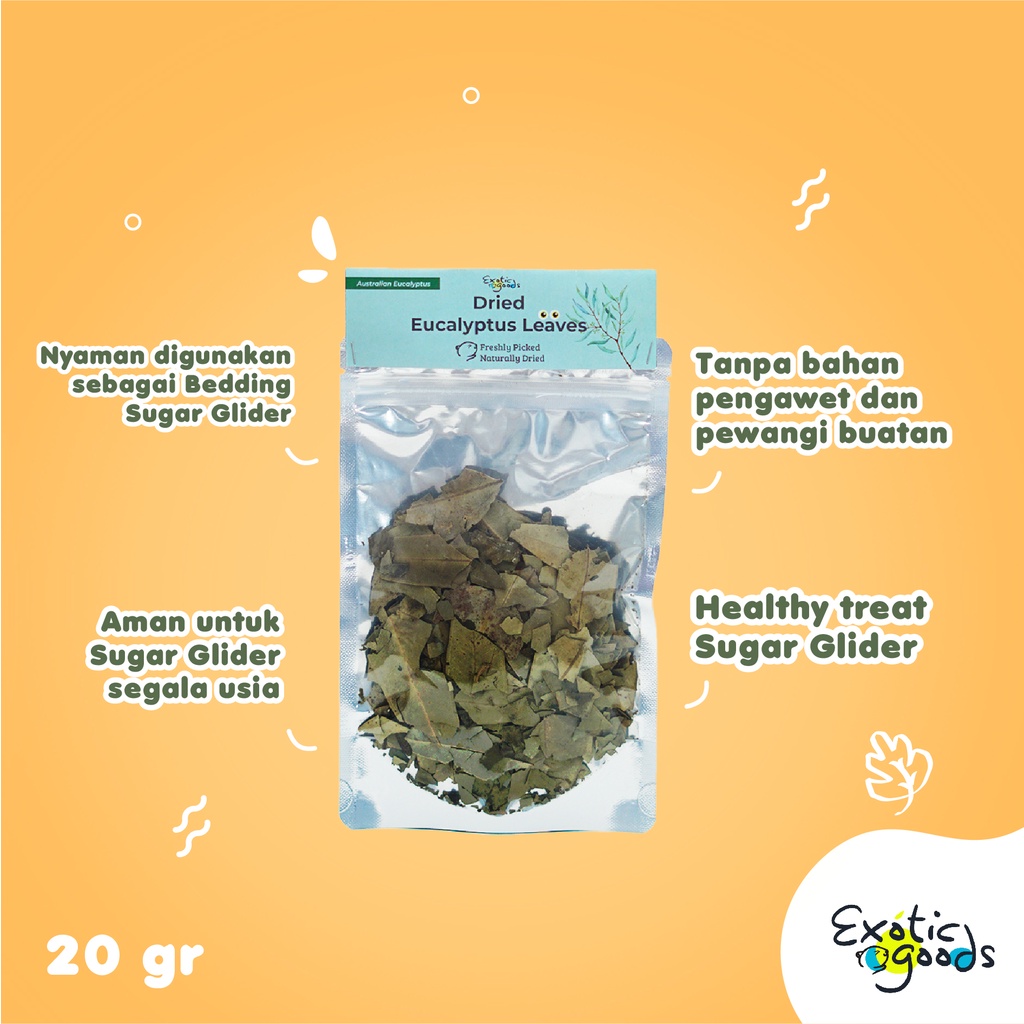 EXOTICGOODS AUSTRALIAN DRIED EUCALYPTUS LEAVES 20g SNACK SEHAT SUGAR GLIDER DAUN EUCALYPTUS KERING ALAS TIDUR SUGAR GLIDER