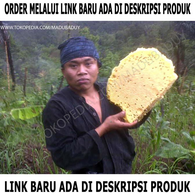 

Madu Asli Lebah Liar Hutan Baduy, Banten. Kemasan Jerigen 1200ml.