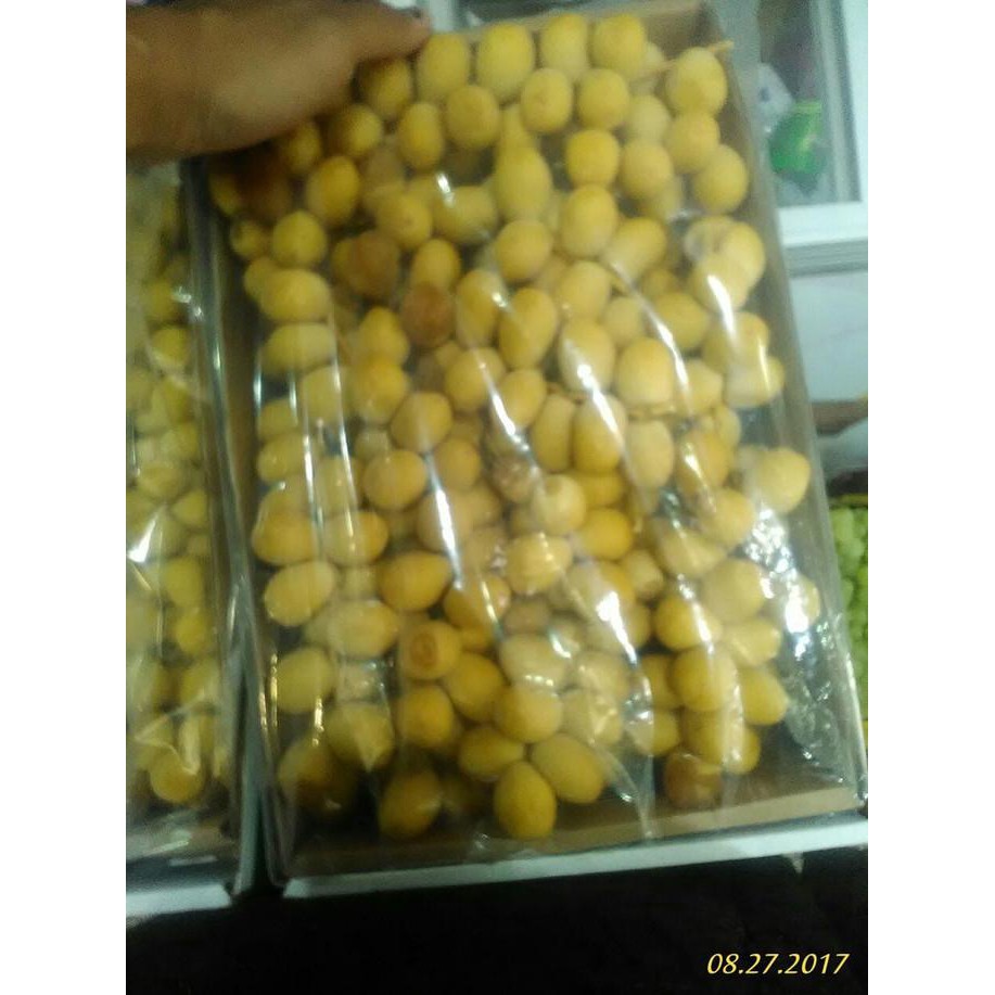 

Jual Kurma Muda Di Jakarta Selatan Arkanamarketht