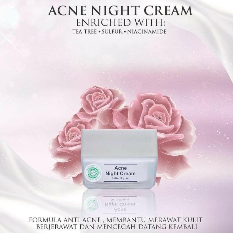 Cream Malam Acne Ms Glow