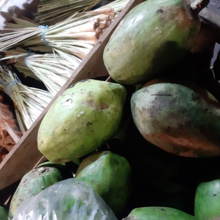 

Pepaya Sayur Mentah