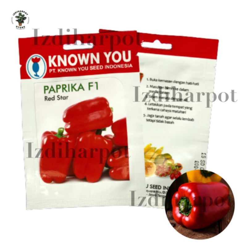 Benih bibit PAPRIKA F1 MERAH RED STAR known you seed - KYS PAPRIKA RED STAR