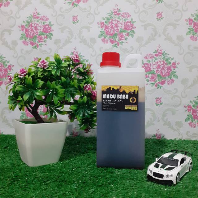 

MADU HUTAN LIAR MURNI LANCENG HITAM MULTIFLORA (Pahit) 1000 gram - Progam Hamil (Promil)