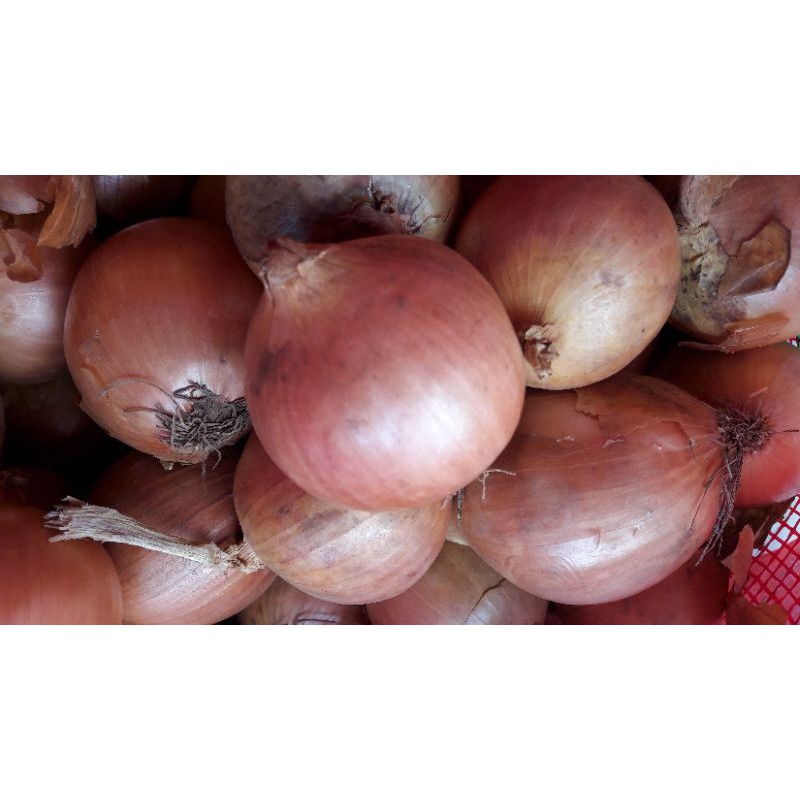 

Bawang Bombay 1kg