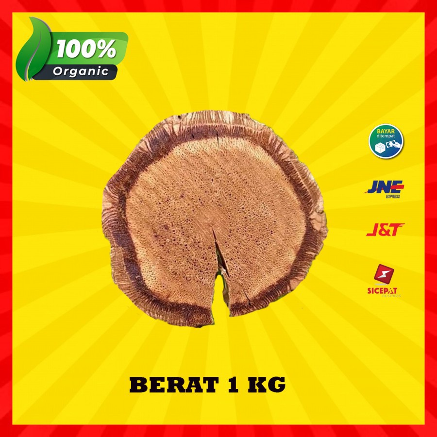 

akar bajakah tampala super asli kalimantan kualitas terbaik